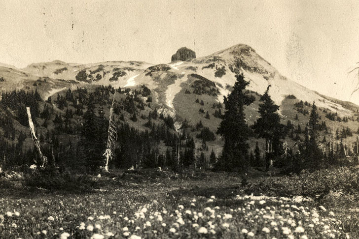 Keep It Wild, "The Tusk" 1917