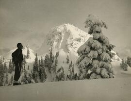 [Skier on Slope]