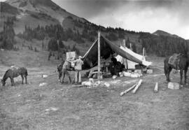 "Loading pack horses at a camp in Black Tusk meadows"