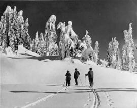 "Mt. Seymour"
