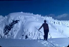 "Colour Photo of Skier"