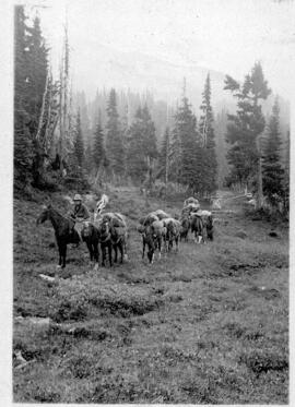 "Horses packing in gear in Black Tusk meadows, on G. Wallis' 6th annual camp, 1935"