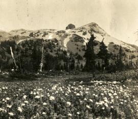 "The Tusk from Meadows Below Camp, 1917"