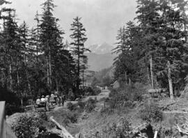 "Horse and carts heading to Garibaldi from Squamish, 1907"